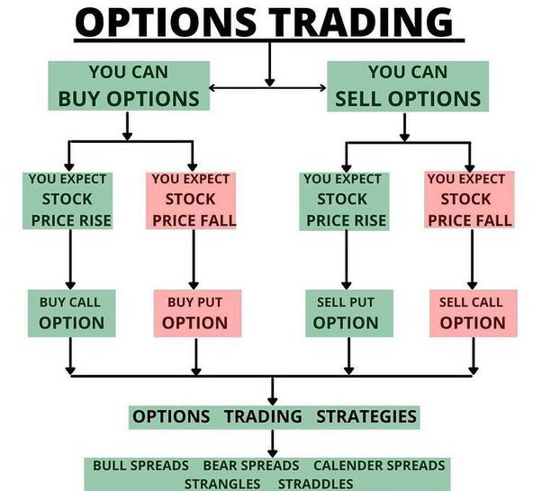 Options Graphic