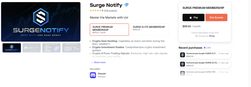 Surge Notify Crypto Trading Discord Group Review