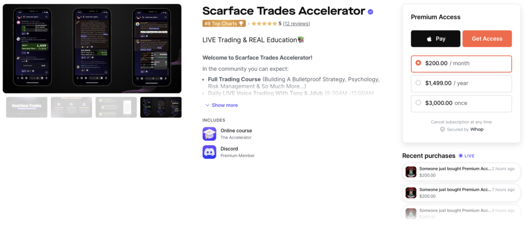 Scarface Trades Accelerator Pricing Tiers