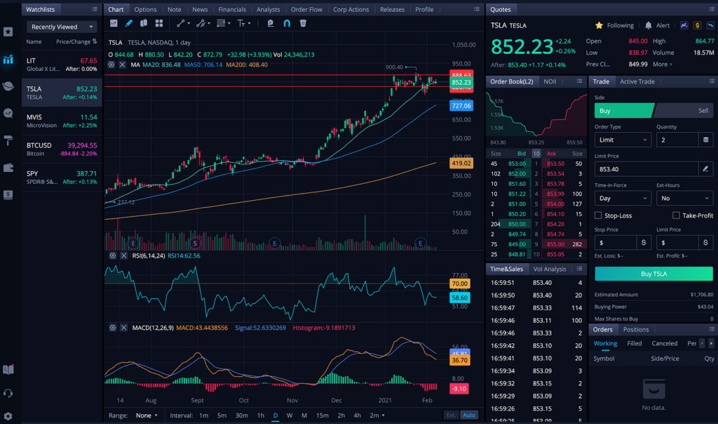 Webull trading Interface