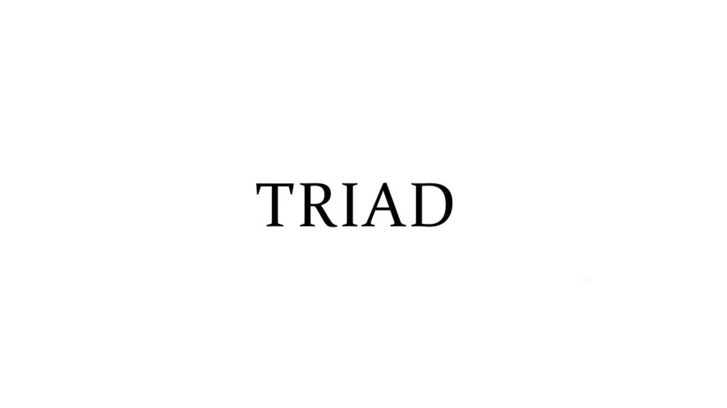 Triad Theory review — trading community on Whop